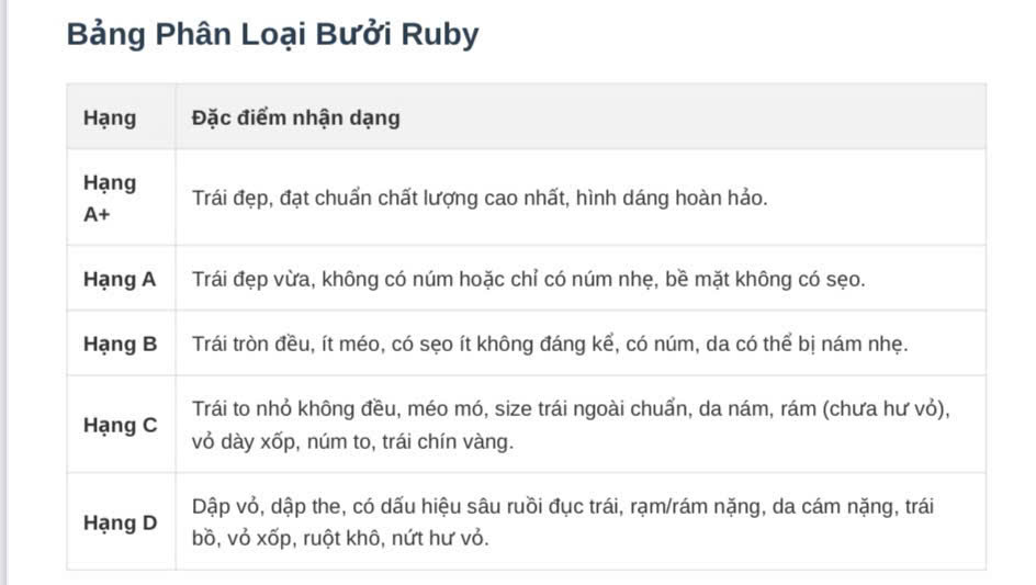 tieu chuanphan loai